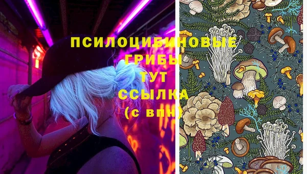прущая мука Чита