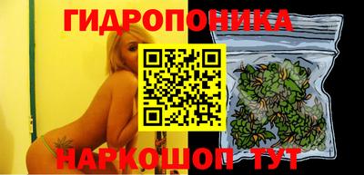 спиды Будённовск